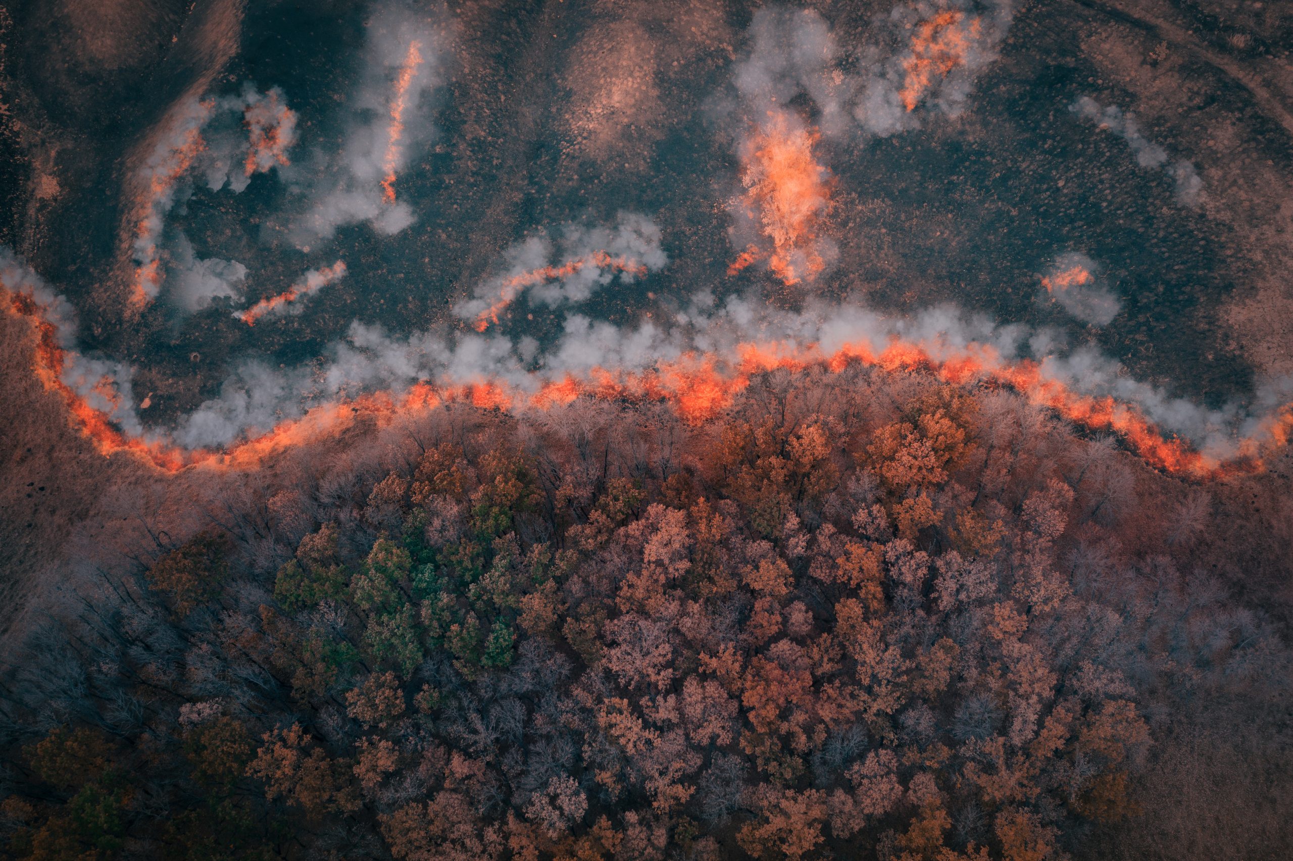 Remote Sensing for Forest Fires