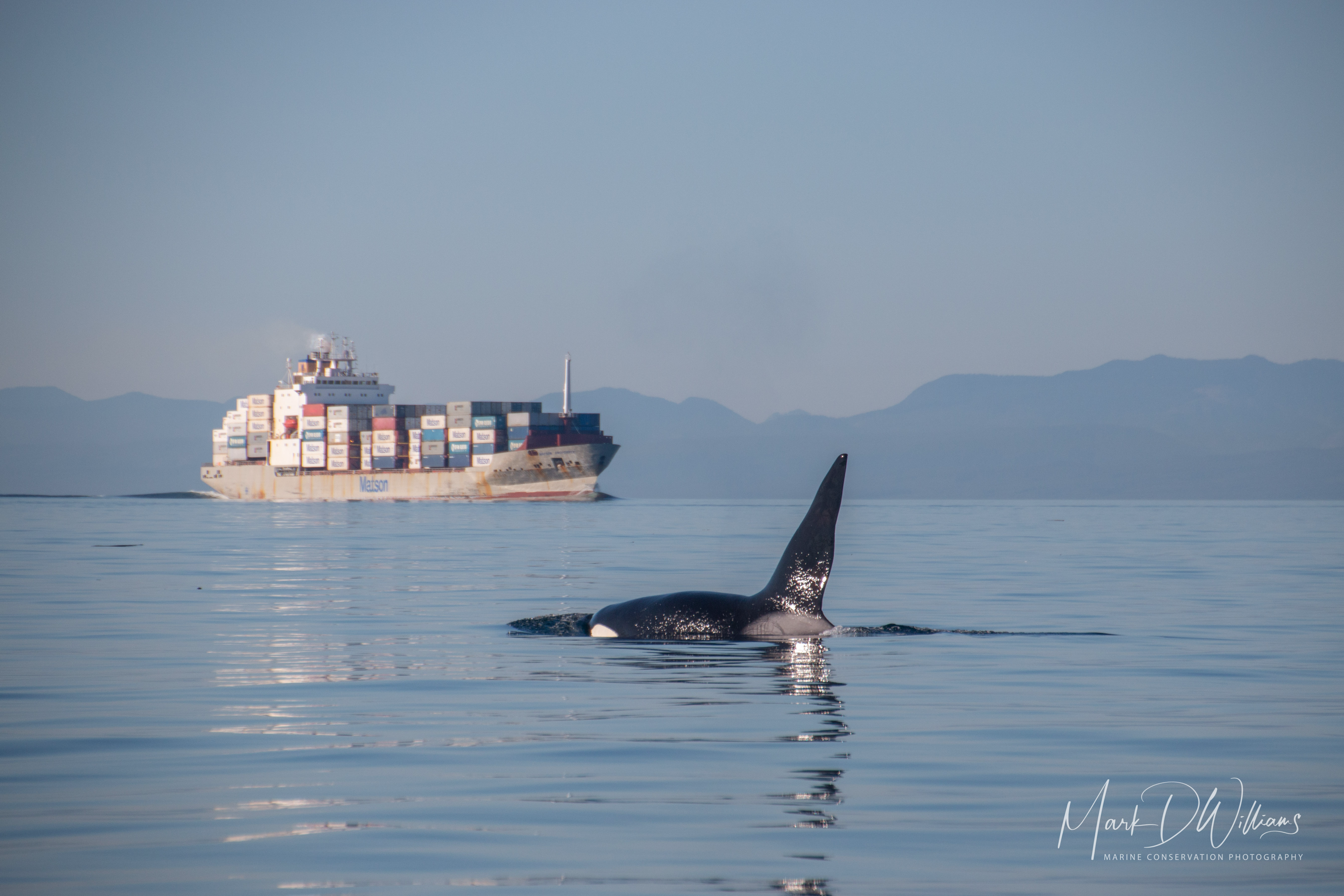 noisetracker Mark William's image of the orca and ship
